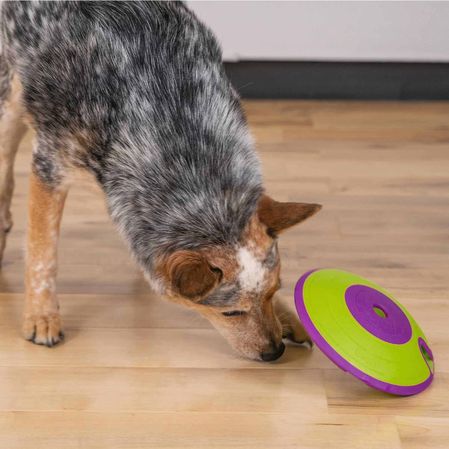 Nina Ottosson By Outward Hound Treat Maze Puzzle Game Dog Toy 5 Nina Ottosson By Outward Hound Treat Maze Puzzle Game Dog Toy - Image 5