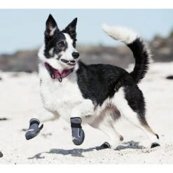 Hurtta Outback Dog Boots, 2 Count 9 Hurtta Outback Dog Boots, 2 Count -Dog Supply Store 150054 PT3. AC SS1800 V1534454523