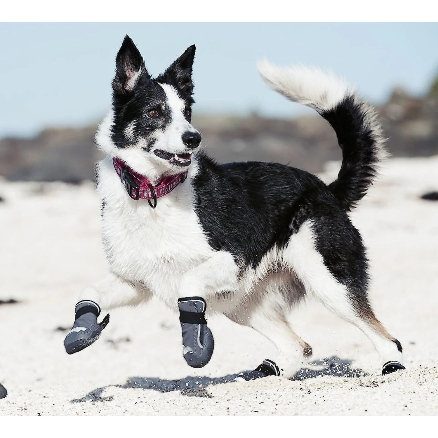 Hurtta Outback Dog Boots, 2 Count 4 Hurtta Outback Dog Boots, 2 Count - Image 4