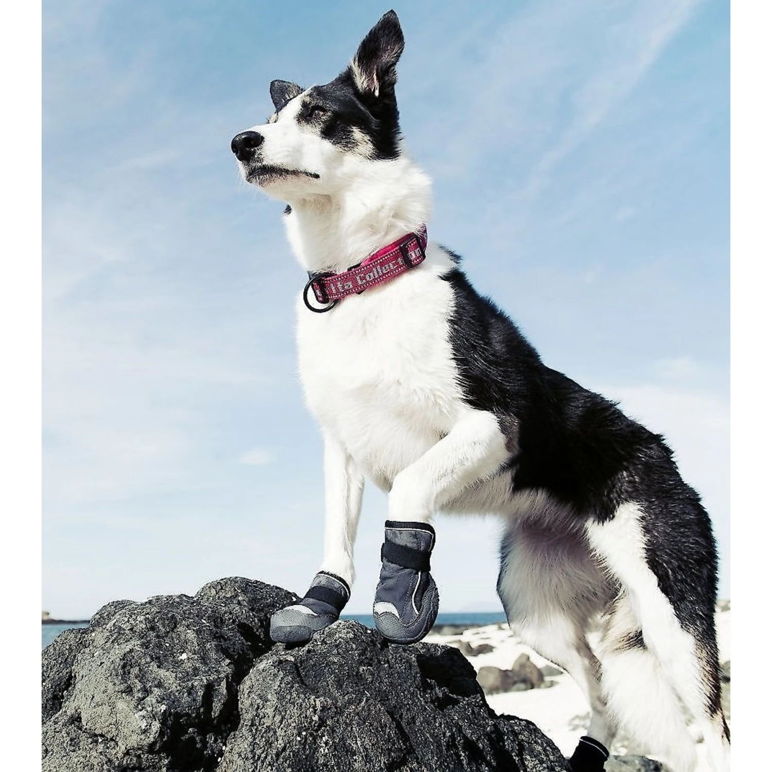 Hurtta Outback Dog Boots, 2 Count 6 Hurtta Outback Dog Boots, 2 Count - Image 6