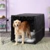 MidWest ICrate Double Door Collapsible Wire Dog Crate Kit
