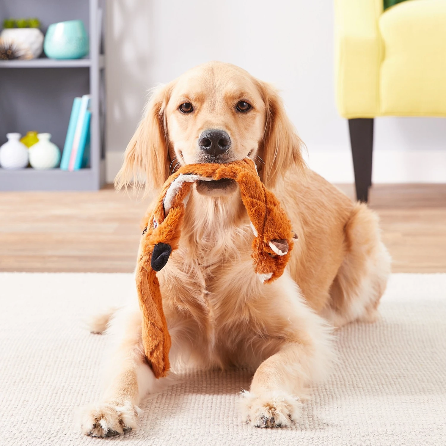 Ethical Pet Skinneeez Extreme Quilted Chimpmunk Stuffing-Free Squeaky Plush Dog Toy 2 Ethical Pet Skinneeez Extreme Quilted Chimpmunk Stuffing-Free Squeaky Plush Dog Toy - Image 2