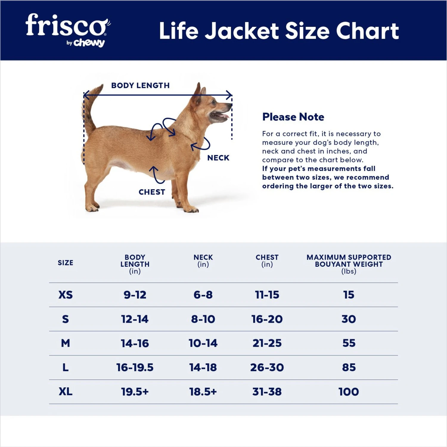 Frisco Neoprene Dog Life Jacket 2 Frisco Neoprene Dog Life Jacket - Image 2