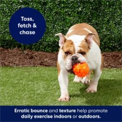 Frisco Fetch Squeaky TPR Ball Dog Toy -Dog Supply Store 152801 PT4. AC SS1800 V1686580091