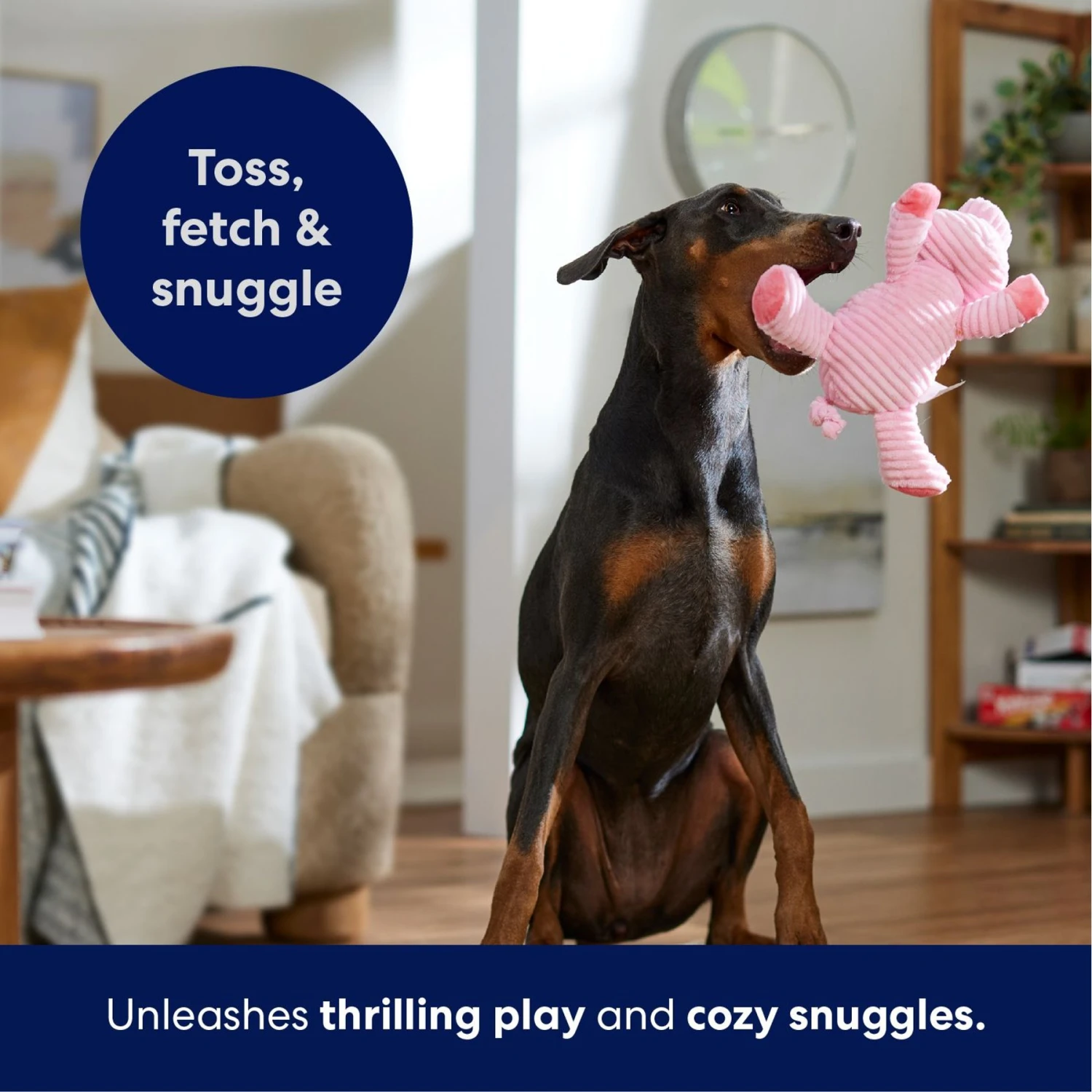 Frisco Corduroy Plush Squeaking Pig Dog Toy 5 Frisco Corduroy Plush Squeaking Pig Dog Toy - Image 5