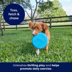 Frisco Fetch Rubber Flyer Dog Toy -Dog Supply Store 152848 PT5. AC SS1800 V1692370079