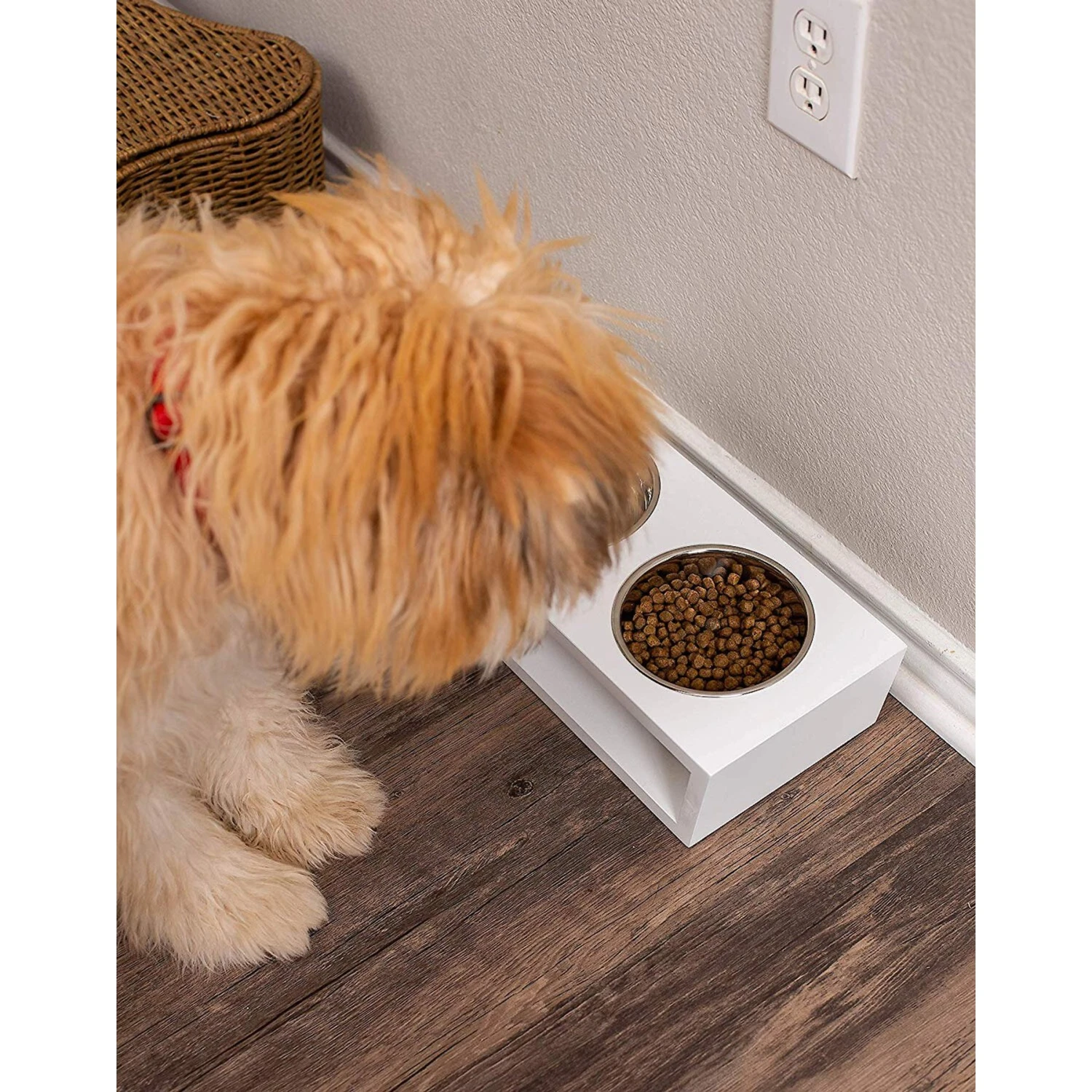 Internet's Best Modern Elevated Dog & Cat Bowls 5 Internet's Best Modern Elevated Dog & Cat Bowls - Image 5