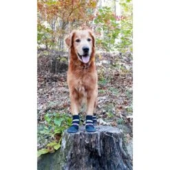 Bark Brite All Weather Reflective Neoprene Dog Boots, 4 Count -Dog Supply Store 155000 PT5. AC SS1800 V1613689593