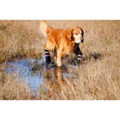 Bark Brite All Weather Reflective Neoprene Dog Boots, 4 Count -Dog Supply Store 155000 PT6. AC SS1800 V1613695582