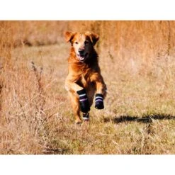 Bark Brite All Weather Reflective Neoprene Dog Boots, 4 Count -Dog Supply Store 155000 PT7. AC SS1800 V1613687208