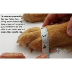 Bark Brite All Weather Reflective Neoprene Dog Boots, 4 Count -Dog Supply Store 155000 PT8. AC SS1800 V1619723819