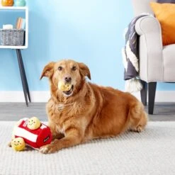 ZippyPaws Burrow Hide & Seek Plush Dog Toy -Dog Supply Store 155434 PT2. AC SS1800 V1554127677