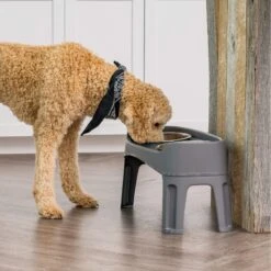 IRIS USA Elevated Dog Feeder With Attachable Feet -Dog Supply Store 156889 PT2. AC SS1800 V1598660494