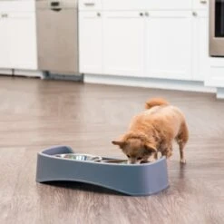 IRIS USA Elevated Dog Feeder With Attachable Feet -Dog Supply Store 156889 PT3. AC SS1800 V1598650940