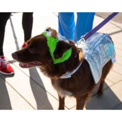 Pet Krewe Sesame Street Oscar The Grouch Dog & Cat Costume -Dog Supply Store 157703 PT6. AC SS1800 V1599277268