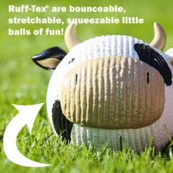 HuggleHounds Ruff-Tex Squeaky Dog Toy 13 HuggleHounds Ruff-Tex Squeaky Dog Toy -Dog Supply Store 158451 PT4. AC SS1800 V1603153890