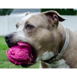 Hyper Pet Crazy Crew Punky Ballster Treat Dispenser Dog Toy -Dog Supply Store 158502 PT2. AC SS1800 V1548794845