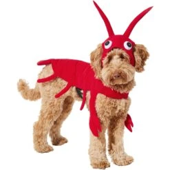 Frisco Red Lobster Dog & Cat Costume -Dog Supply Store 158723 PT2. AC SS1800 V1659023725