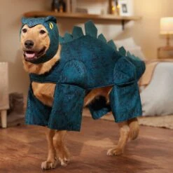 Frisco Stegosaurus Dinosaur Dog & Cat Costume -Dog Supply Store 158777 PT7. AC SS1800 V1567180627