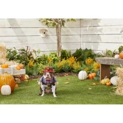 Frisco Front Walking Cowboy Dog & Cat Costume -Dog Supply Store 158842 PT3. AC SS1800 V1567176047