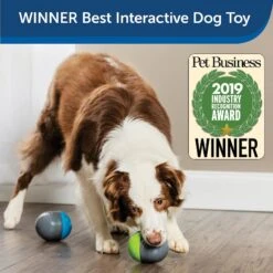 PetSafe Ricochet Interactive Sound Game Dog Toy -Dog Supply Store 159052 PT3. AC SS1800 V1599844580