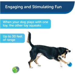 PetSafe Ricochet Interactive Sound Game Dog Toy -Dog Supply Store 159052 PT5. AC SS1800 V1599844596