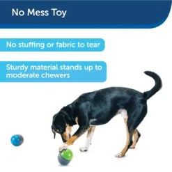 PetSafe Ricochet Interactive Sound Game Dog Toy -Dog Supply Store 159052 PT6. AC SS1800 V1599844597
