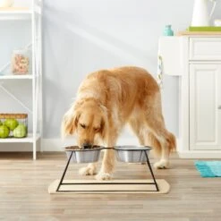 Frisco Pyramid Elevated Stainless Steel Double Diner Dog & Cat Bowl 7 Frisco Pyramid Elevated Stainless Steel Double Diner Dog & Cat Bowl -Dog Supply Store 159884 PT3. AC SS1800 V1561123346