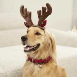 Frisco Holiday Antler Headband & Bell Collar Dog & Cat Costume -Dog Supply Store 160658 PT4. AC SS1800 V1568818037