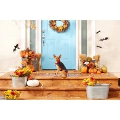 Frisco Vampire Cape Dog & Cat Costume -Dog Supply Store 160793 PT3. AC SS1800 V1567176564