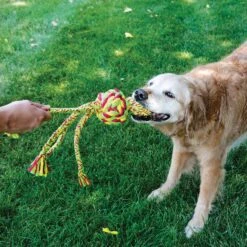 KONG Wubba Weaves With Rope Dog Toy, Color Varies -Dog Supply Store 161873 PT2. AC SS1800 V1552941190