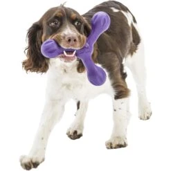 West Paw Skamp Fetch Dog Toy -Dog Supply Store 162683 PT2. AC SS1800 V1552919912