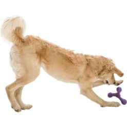 West Paw Skamp Fetch Dog Toy -Dog Supply Store 162683 PT3. AC SS1800 V1552919913