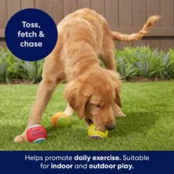 Frisco Birthday Fetch Squeaky Tennis Ball Dog Toy 10 Frisco Birthday Fetch Squeaky Tennis Ball Dog Toy -Dog Supply Store 162914 PT3. AC SS1800 V1692019914