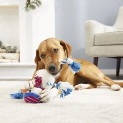 Frisco Holiday Snowman Plush With Rope Squeaky Dog Toy -Dog Supply Store 164645 PT2. AC SS1800 V1568910233