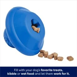 Frisco Flying Saucer Rubber Treat Dispenser Dog Toy -Dog Supply Store 164757 PT3. AC SS1800 V1686579570
