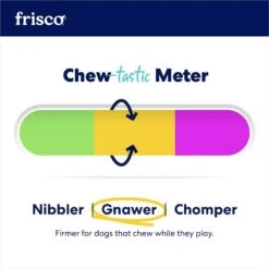 Frisco Flying Saucer Rubber Treat Dispenser Dog Toy -Dog Supply Store 164757 PT4. AC SS1800 V1686579686