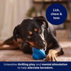 Frisco Flying Saucer Rubber Treat Dispenser Dog Toy -Dog Supply Store 164757 PT5. AC SS1800 V1691784247