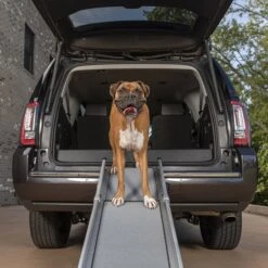 PetSafe Happy Ride Deluxe Compact Telescoping Dog Car Ramp -Dog Supply Store 166219 PT7. AC SS1800 V1614360092