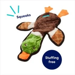 Frisco Mallard Stuffing-Free Flat Plush Squeaky Dog Toy -Dog Supply Store 174731 PT2. AC SS1800 V1686579090
