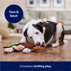 Frisco Mallard Stuffing-Free Flat Plush Squeaky Dog Toy -Dog Supply Store 174731 PT5. AC SS1800 V1686579082