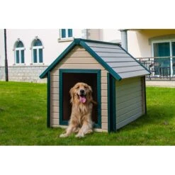 New Age Pet EcoFLEX Bunk Style Dog House -Dog Supply Store 175308 PT4. AC SS1800 V1563816718