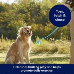 Frisco Ball Launcher & Fetch Squeaky Tennis Ball Dog Toy -Dog Supply Store 178477 PT3. AC SS1800 V1695241970