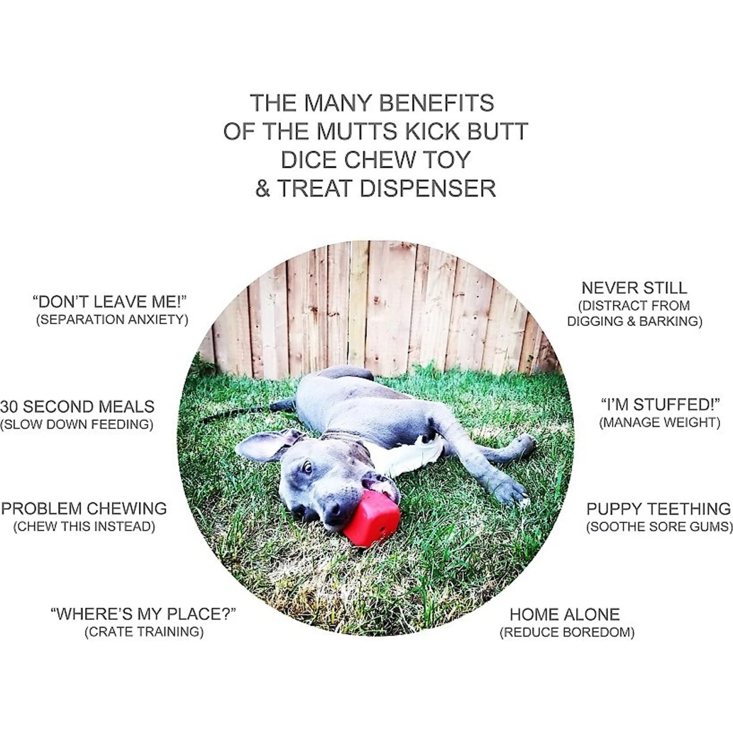 MuttsKickButt Roll Of The Dice Treat Dispensing Tough Dog Chew Toy 5 MuttsKickButt Roll Of The Dice Treat Dispensing Tough Dog Chew Toy - Image 5