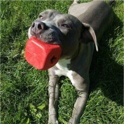 MuttsKickButt Roll Of The Dice Treat Dispensing Tough Dog Chew Toy 13 MuttsKickButt Roll Of The Dice Treat Dispensing Tough Dog Chew Toy -Dog Supply Store 181049 PT6. AC SS1800 V1564608119