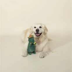 Pet Shop By Fringe Studio Cha-Cha T-Mex Rex Squeaky Plush Dog Toy 5 Pet Shop By Fringe Studio Cha-Cha T-Mex Rex Squeaky Plush Dog Toy -Dog Supply Store 183841 PT3. AC SS1800 V1629243995