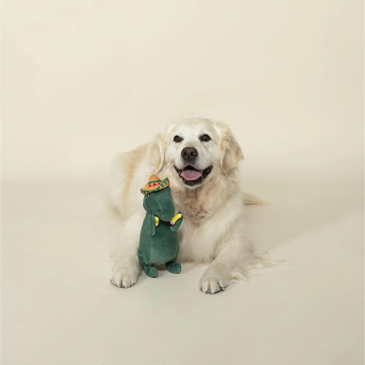 Pet Shop By Fringe Studio Cha-Cha T-Mex Rex Squeaky Plush Dog Toy 3 Pet Shop By Fringe Studio Cha-Cha T-Mex Rex Squeaky Plush Dog Toy - Image 3