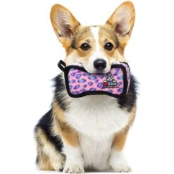 Tuffy's Jr Bone2 Squeaky Plush Dog Toy 8 Tuffy's Jr Bone2 Squeaky Plush Dog Toy -Dog Supply Store 184054 PT2. AC SS1800 V1589570760