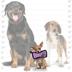 Tuffy's Jr Bone2 Squeaky Plush Dog Toy 9 Tuffy's Jr Bone2 Squeaky Plush Dog Toy -Dog Supply Store 184054 PT3. AC SS1800 V1564002419