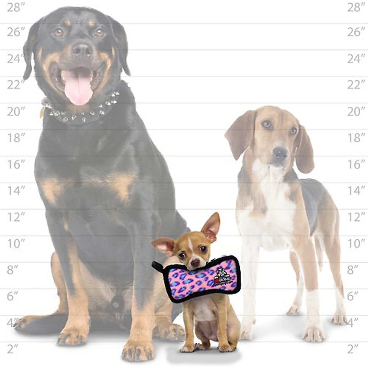 Tuffy's Jr Bone2 Squeaky Plush Dog Toy 4 Tuffy's Jr Bone2 Squeaky Plush Dog Toy - Image 4